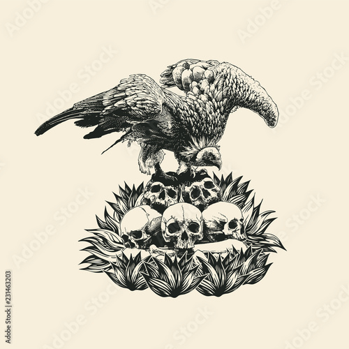 Design T-shirt With Griffon Vulture On The Skulls. Retro Engraving Style. Vector Illustration.
