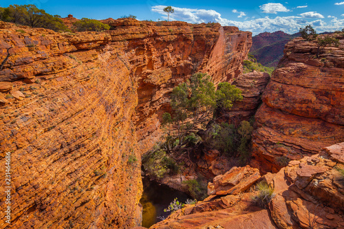 Konstfotografi Garden of Eden, Kings Canyon, Northern Territory, Australia