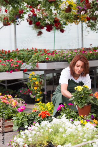 Young woman working in greenhouse and enjoying in beautiful flowers.