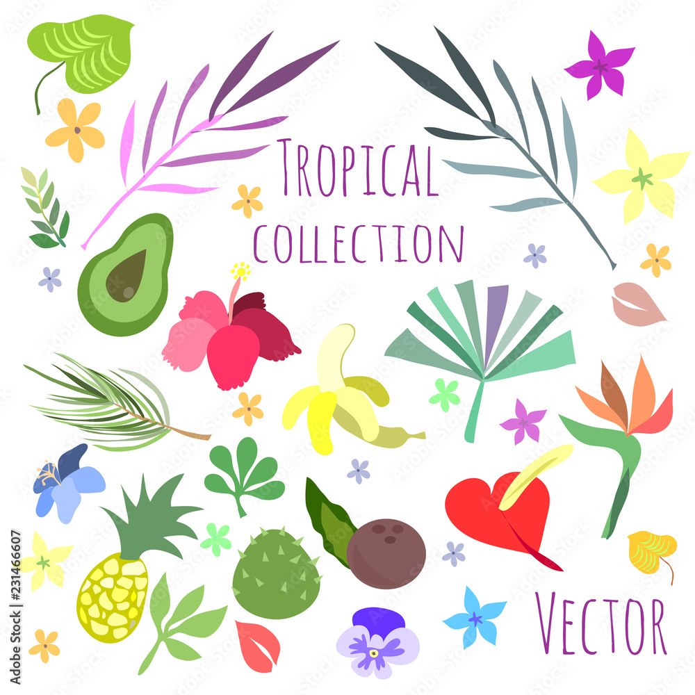Tropical flora and fruit collection
