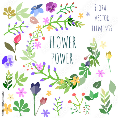 Collection of floral elements