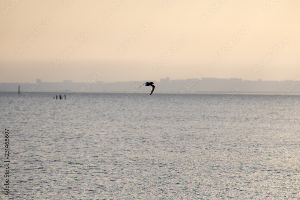 Obraz premium Amazing view of clear sea landscape with cloudy sky as a background Sunset time.