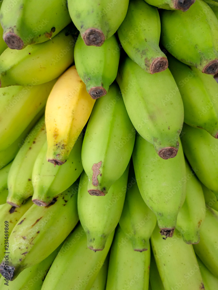 Bananas Bananas