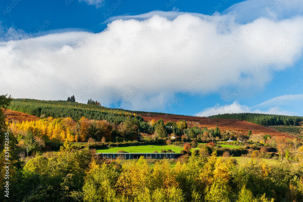 Beautiful autumn landscape at the Irish countryside. Fall background.