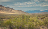 Landscape photography of the peacefulness of the Sonoran desert near Phoenix, Az along with cactus and bright clean air