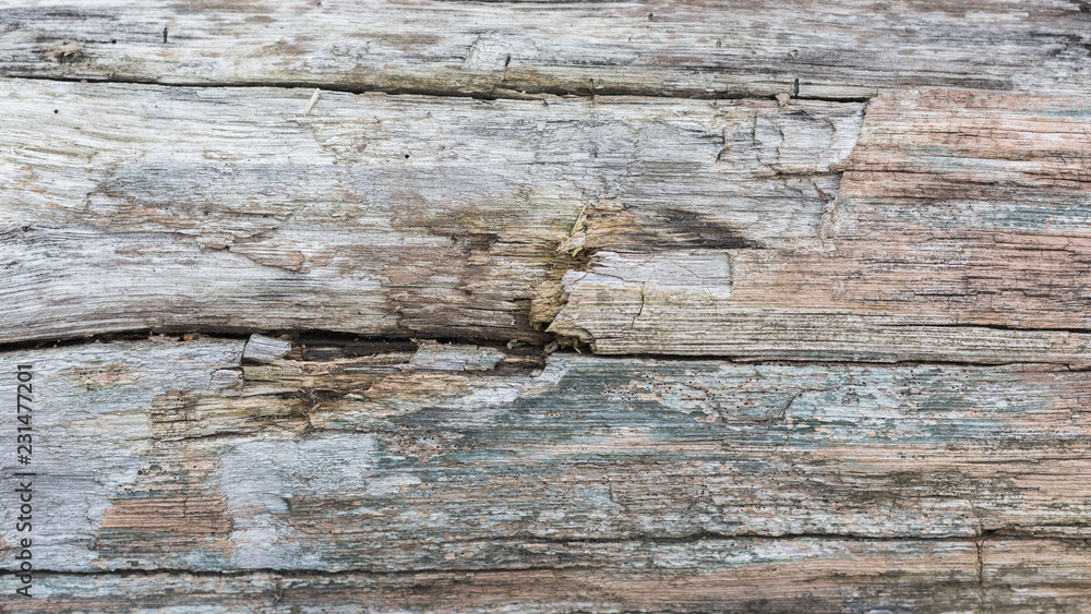 Texture of wooden surface - can be used as background Texture of wooden surface - can be used as background