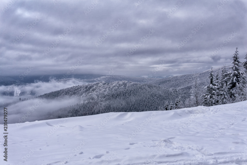 Obraz premium Winter foggy mountain landscape. Fairytale afternoon with misty mountains and dramatic clouds in the sky. Kremnica Mountains, Slovakia.