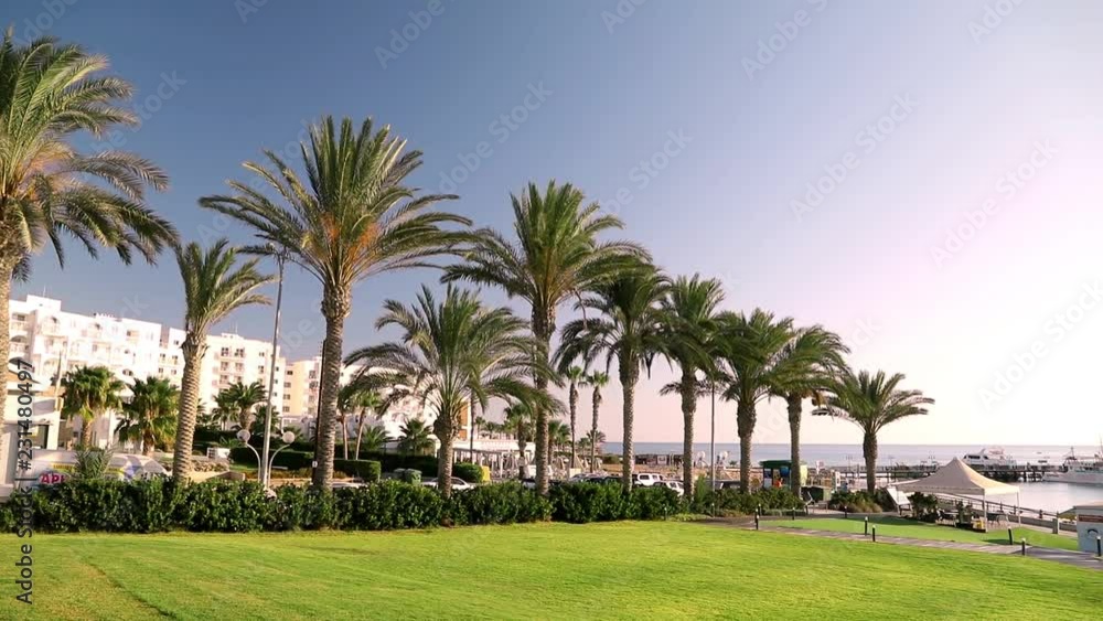 Tropical palm trees on beach. Luxury resort. Steadicam shot Tropical palm trees on beach. Luxury resort. Steadicam shot