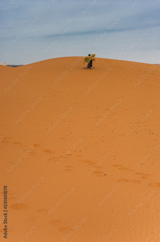 Old  berber woman work alone on a sand dune in Merzouga, Morocco