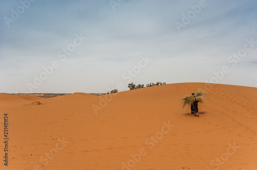 Old  berber woman work alone on a sand dune in Merzouga  Morocco