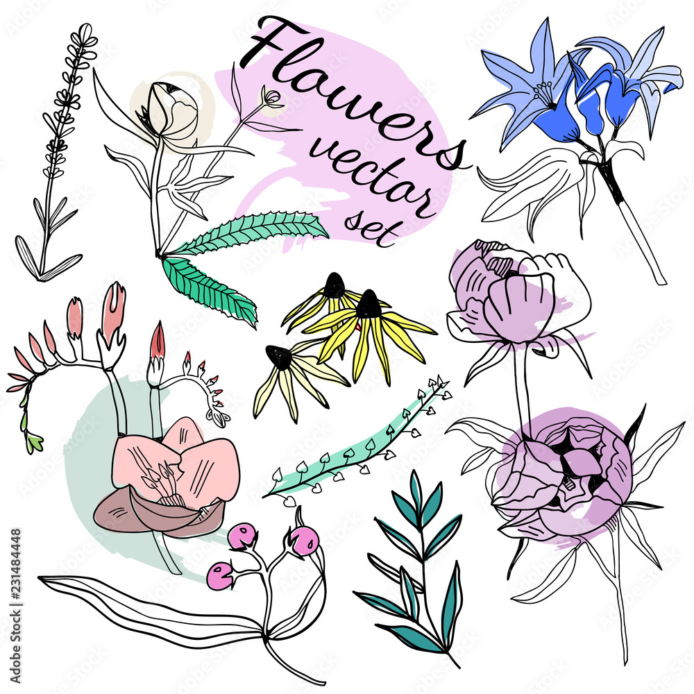 Hand drawn colored flowers. Graphic vector set
