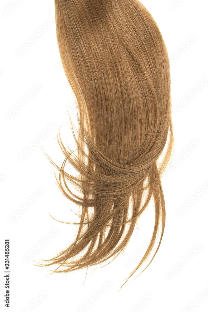 Brown hair, isolated on white background. Long and disheveled ponytail Brown hair, isolated on white background. Long and disheveled ponytail
