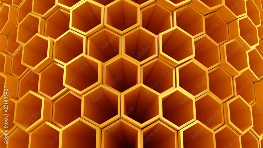 Background of Hexagons
Background of Hexagons