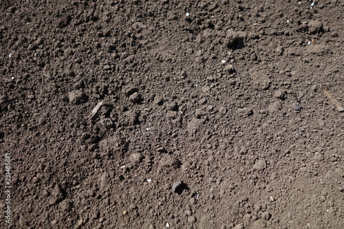 畑の黒ボク土クローズアップ