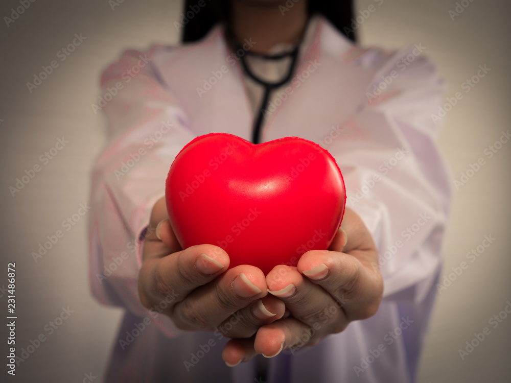 doctor hold the heart in hand. you can use for helth check heart disease.