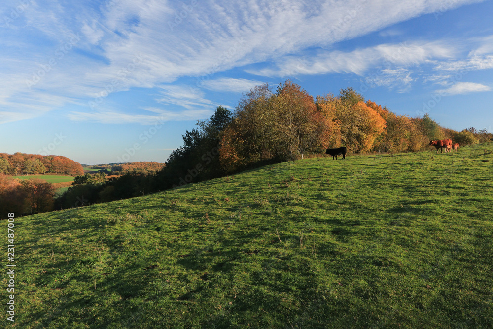 malerischer Blick auf den Tüteberg im Naturpark Westensee im Herbst