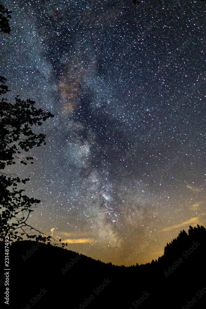 Milkyway, stars and tree during dark night, Ballon d'alsace Vosges