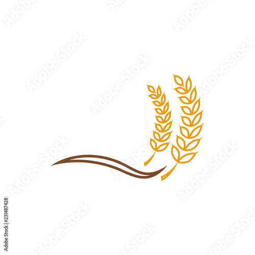 Wheat grain agriculture graphic design template vector illustration