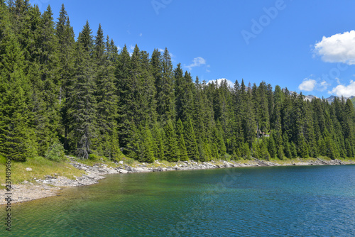 Lago montano con abeti verdi e cielo azzurro