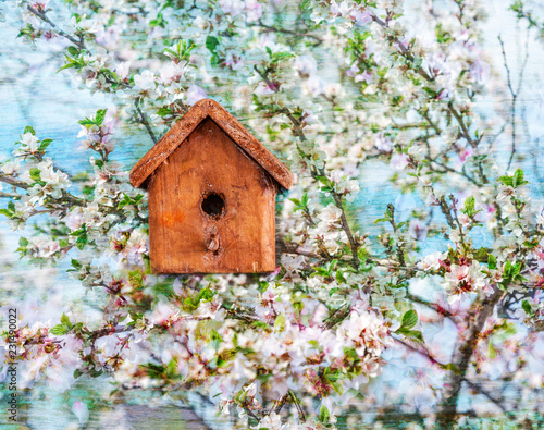 Easter holiday concept/ wooden bird house on the blooming japanese cherry tree