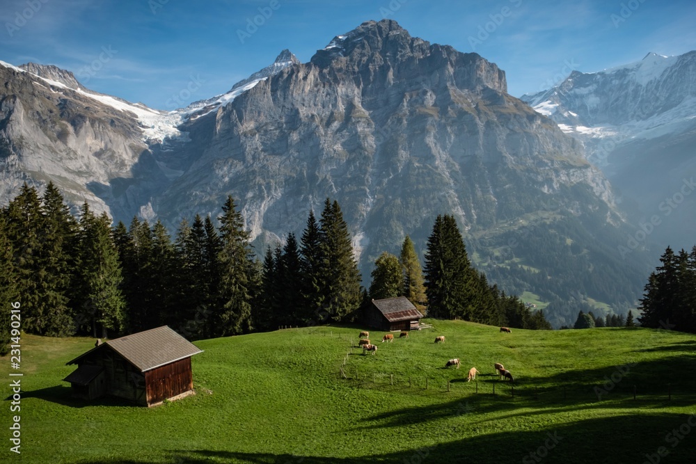 Wandern in den Schweizer Alpen, Berner Oberland, Wetterhorn, Grindelwald, Schweiz