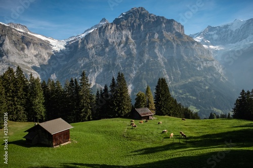 Wandern in den Schweizer Alpen, Berner Oberland, Wetterhorn, Grindelwald, Schweiz © Thomas