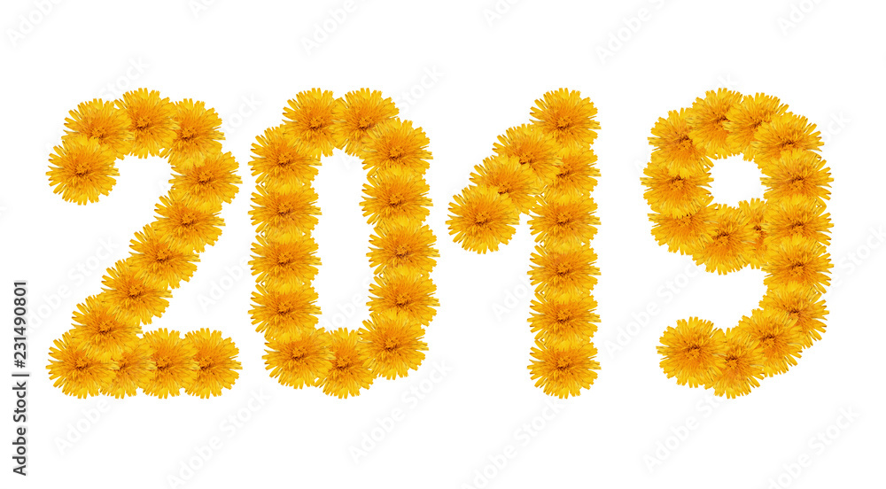 The Christmas, New Year from bright yellow dandelion   form of inscriptions, 2019 numbers, isolated on white.