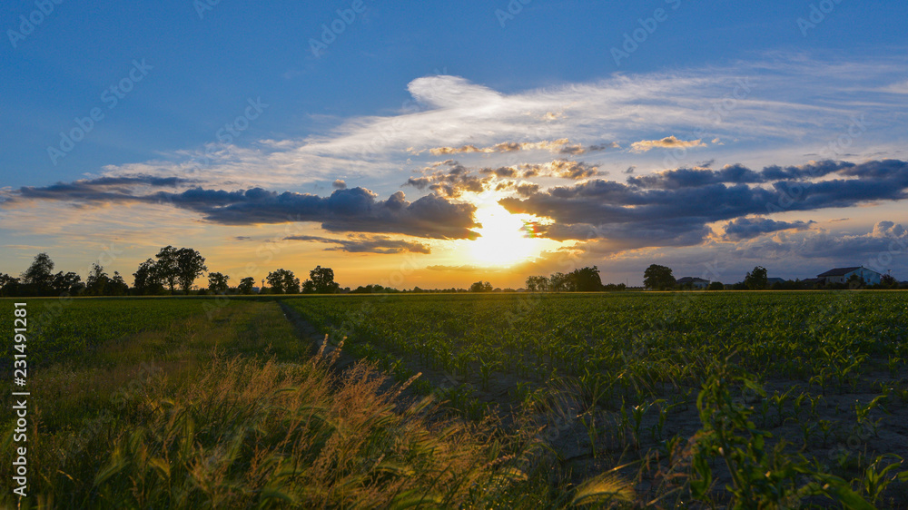 Panoramica di un tramonto in aperta campagna con un cielo azzurro Panoramica di un tramonto in aperta campagna con un cielo azzurro