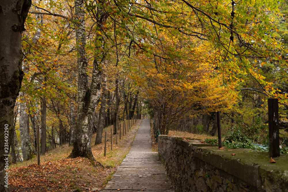 Parco Monte Brè - Colori d'autunno
