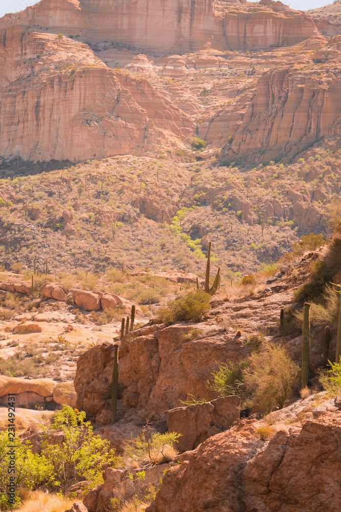 Arizona desert is diverse red slick rock cliffs surround Canyon Lake in the wilderness east of Phoenix with desert plants adding to the beauty of these landscape photographs