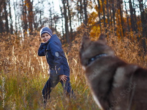 Boy playing with husky dog