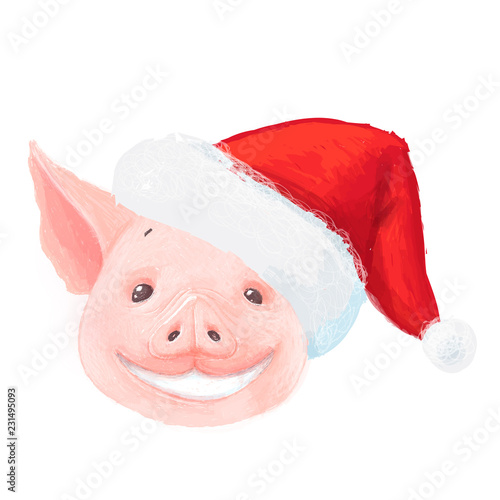 Adorable Christmas pig smiles. Cute little piglet face in Santa hat isolated on white background. Pig emotion collection. Vector hand draw illustration.