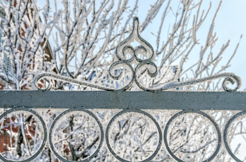 Decorative forged metal gates in white frost, close-up