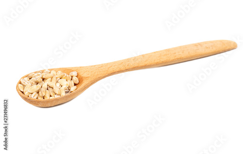 Pearl barley in spoon