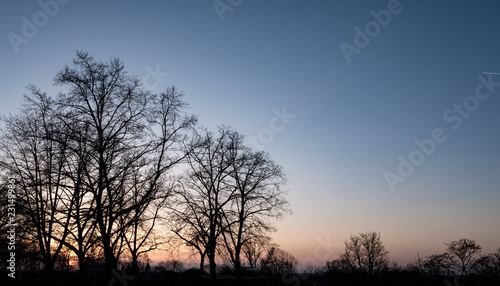Bäume bei Sonnenuntergang © Andreas