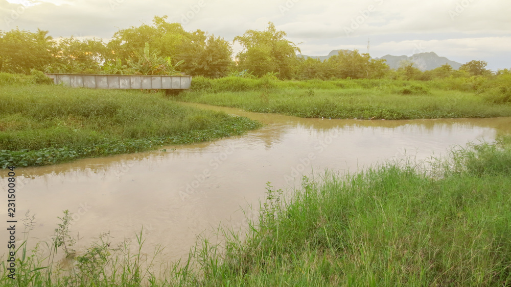 pond with bridge in local country at thailand pond with bridge in local country at thailand