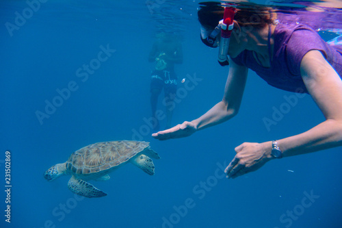 Snorkeler with Green turtle (Chelonia mydas) in Barbados.