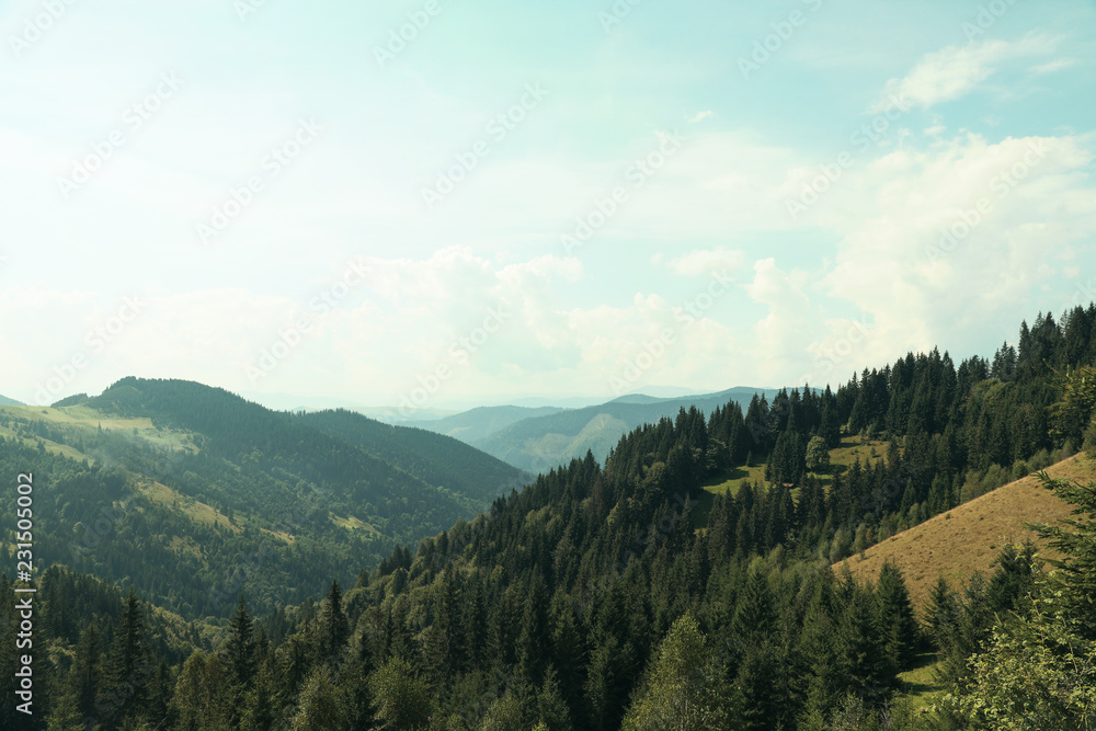 Beautiful landscape with forest and mountain slopes Beautiful landscape with forest and mountain slopes