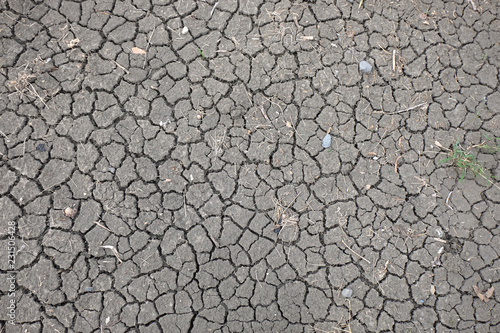 Cracked earth during dry season