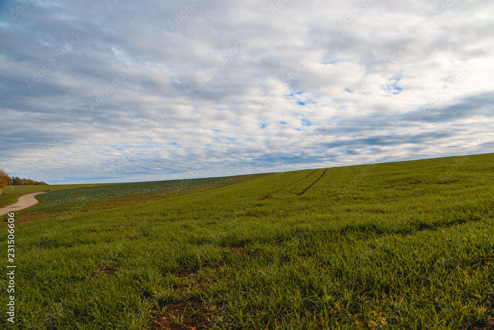 green field and blue sky