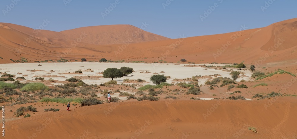 Fototapeta premium Sossusvlei