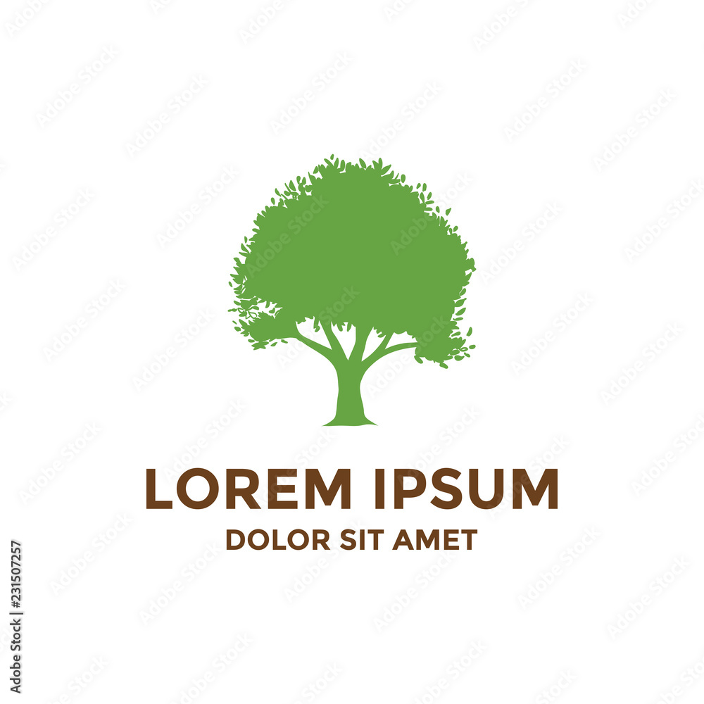 Obraz premium Oak tree inspiration logo template