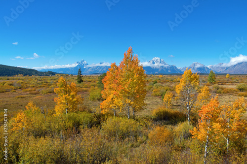 Grand Teton