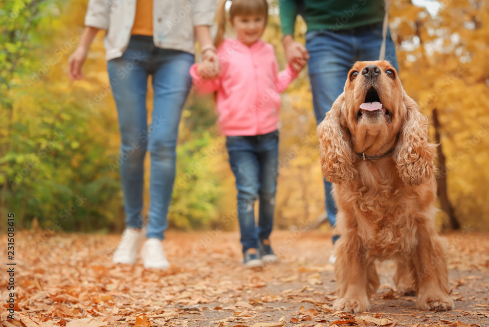 Happy family with child and dog in park. Autumn walk Happy family with child and dog in park. Autumn walk