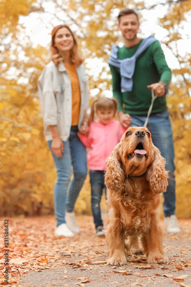 Happy family with child and dog in park. Autumn walk Happy family with child and dog in park. Autumn walk