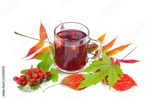 Photography Glass of rowan stew isolated on white background