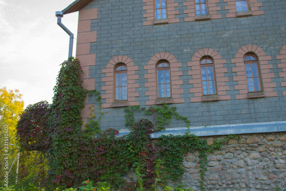 Naklejka premium old building in the city