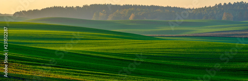panorama of a green field in autumn scenery © Mike Mareen
