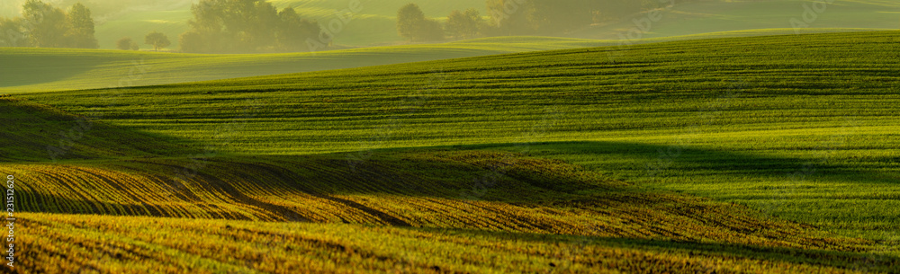 panorama of a green field in autumn scenery