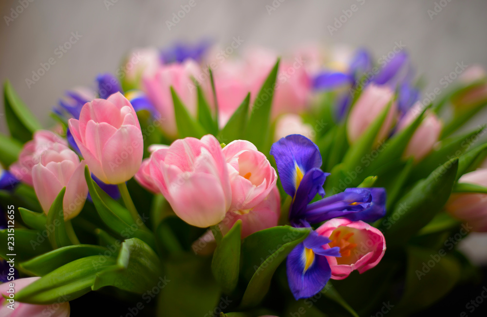 delicate bouquet of tulips delicate bouquet of tulips